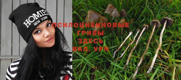 spice Нязепетровск